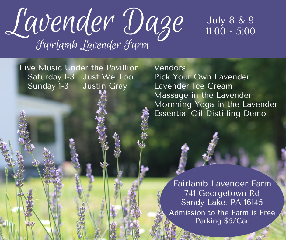 Lavender Daze Festival Fairlamb Lavender Farm