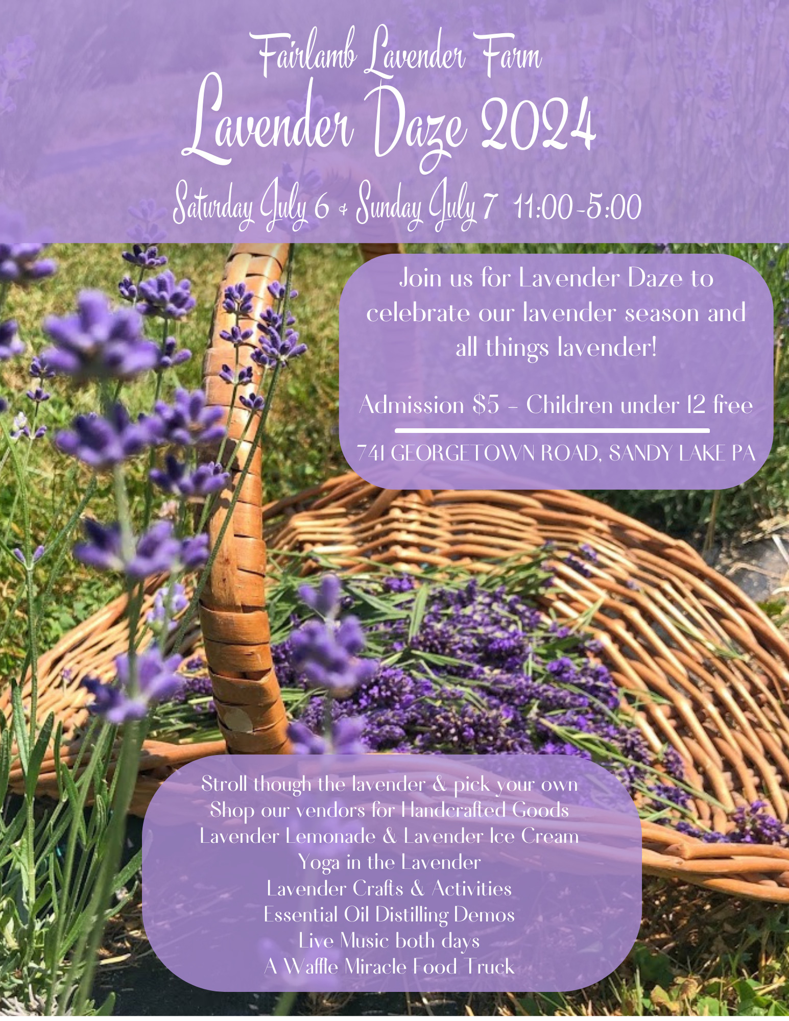 Lavender Daze 2024 Saturday Fairlamb Lavender Farm