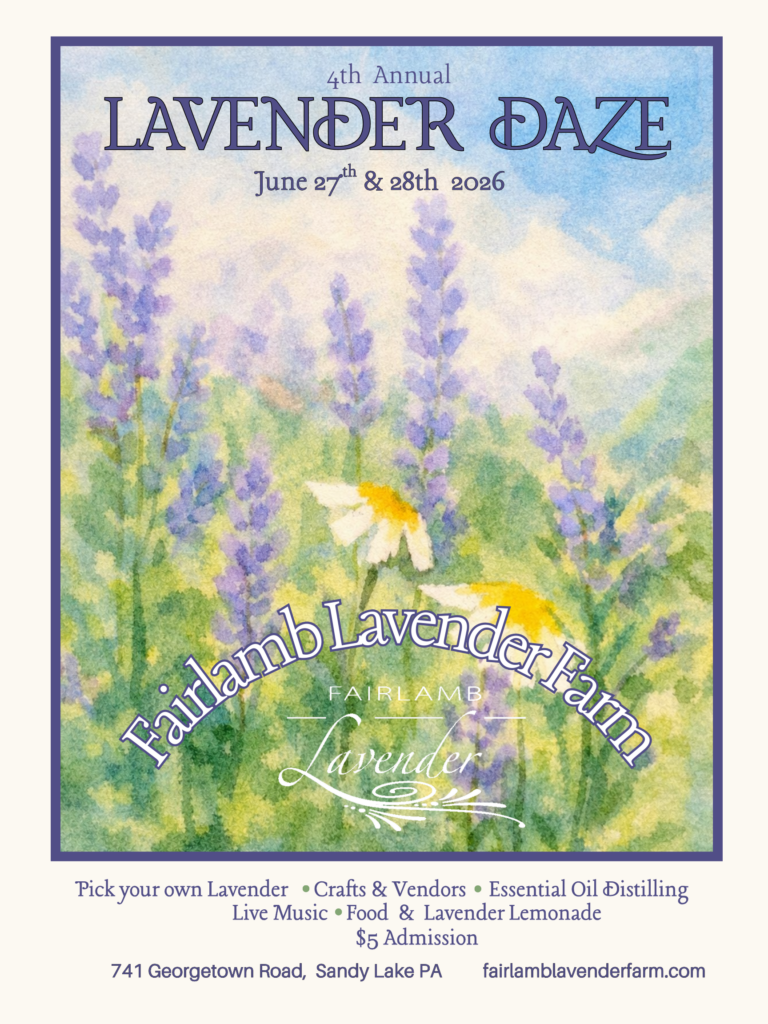 Lavender Daze 2026 - Fairlamb Lavender Farm